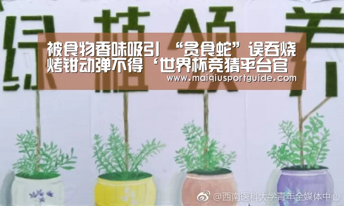 被食物香味吸引 “贪食蛇”误吞烧烤钳动弹不得‘世界杯竞猜平台官网’(图3) 2026世界杯投注平台