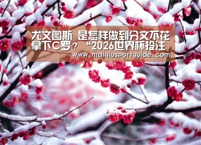 尤文图斯 是怎样做到分文不花拿下C罗?“2026世界杯投注平台”(图4) 世界杯下注入口